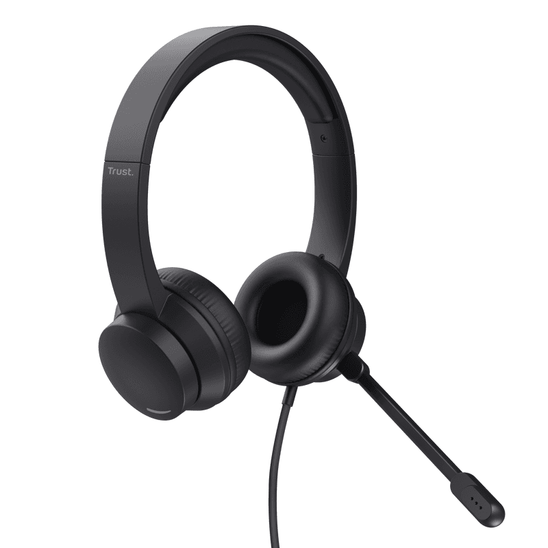 AURICULAR TRUST AYDA PC · Trust