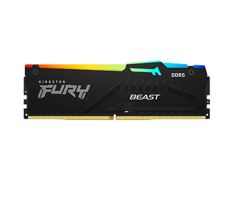 Memoria DDR5 Kingston 16Gb 6000 MHz FURY BEAST EXPO RGB Black (5919) · Kingston