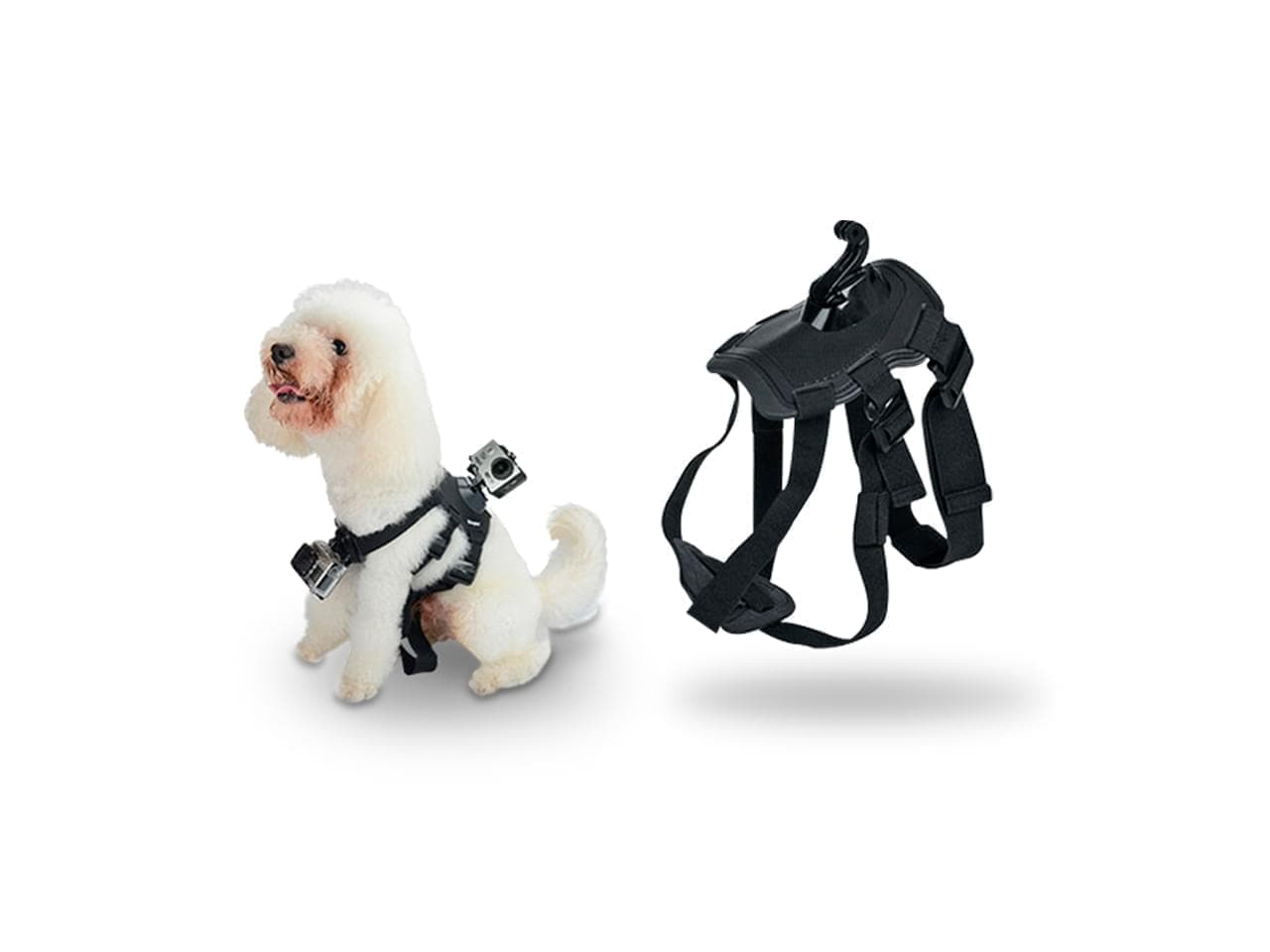 Soporte para montar camara deportiva en perro - Imagen 1