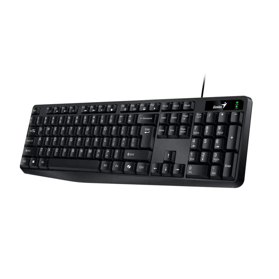 TECLADO USB GENIUS KB-117 BLACK