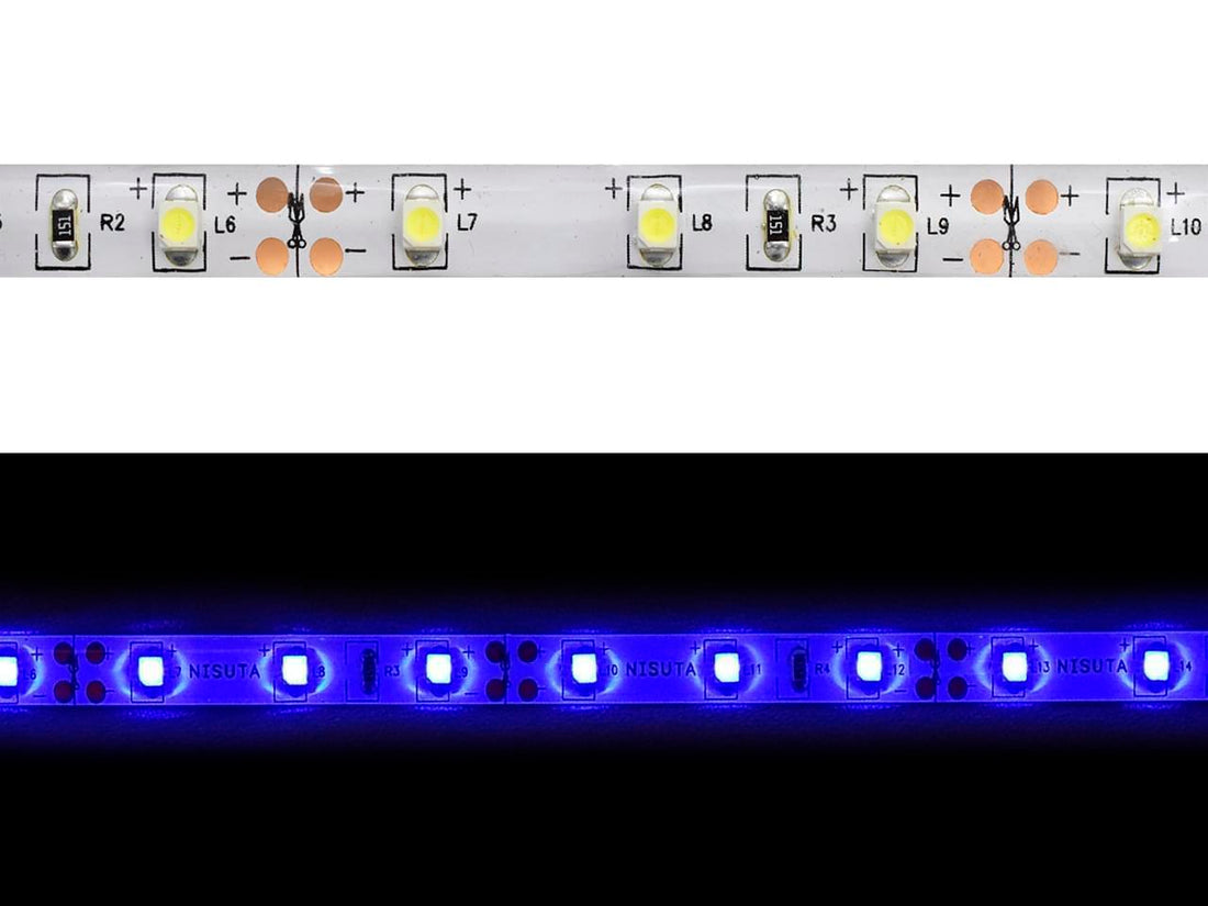 Tira de LEDs externa 3528 60L/M azul 24v x metro