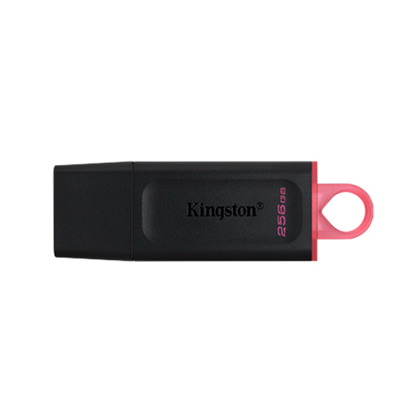 Pen Drive KINGSTON 256GB USB 3.2 DTX (0023)