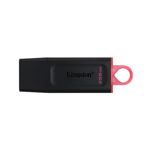 Pen Drive KINGSTON 256GB USB 3.2 DTX (0023)