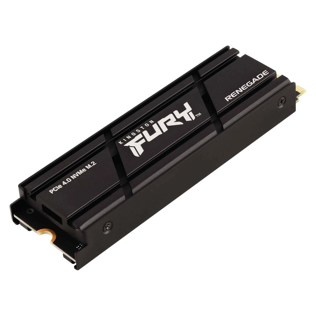 Disco SSD 1T Renegade M.2 2280 PCIe 4.0 NVMe
