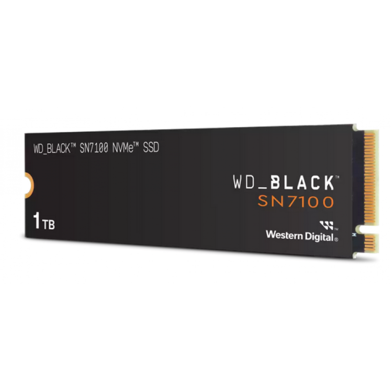 WD Discos SSD WDS100T4X0E 1024 GB M.2