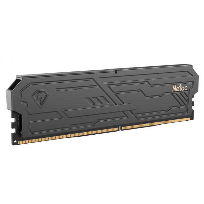 NETAC Memorias RAM NTSHD4P32SP-16K 16 GB DDR4