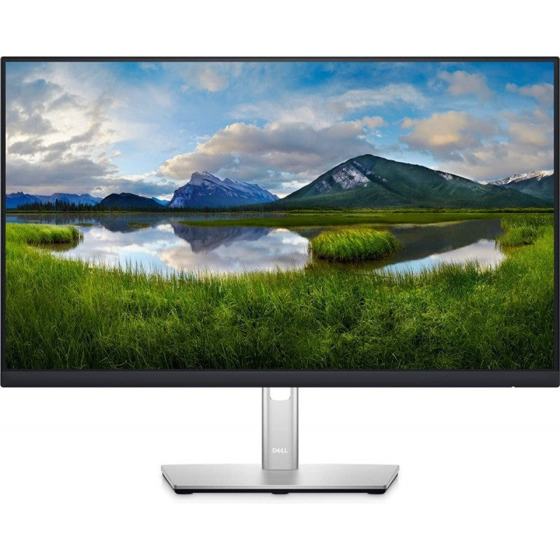 DELL Monitores 22 in