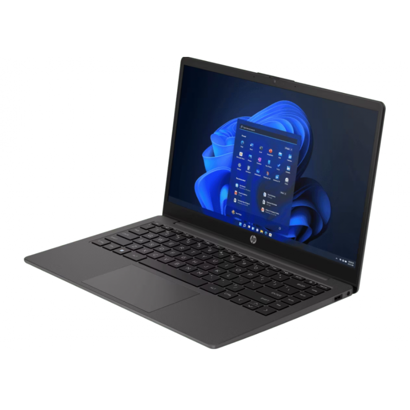 HP Notebooks 81S91LT 8 GB