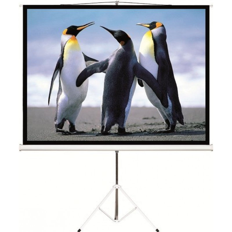 INTELAID Soportes IT-TPS100